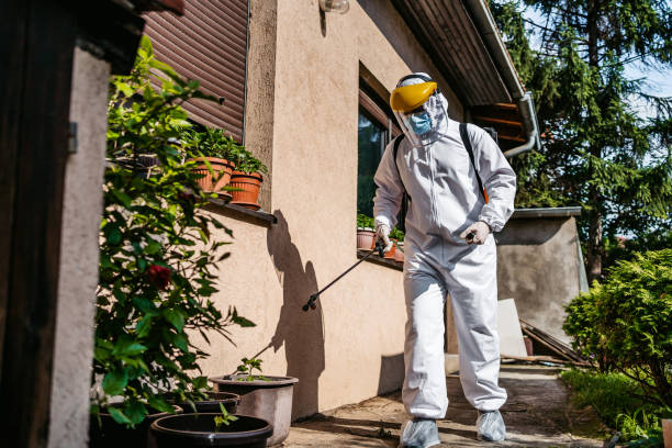 Reliable Waterloo, NE Pest Control Solutions