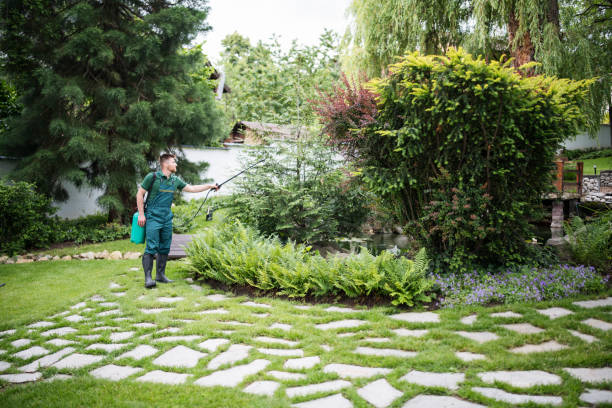 Best Local Pest Control Services  in Waterloo, NE