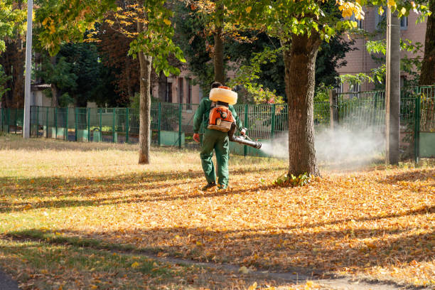 Pest Control Cost in Waterloo, NE
