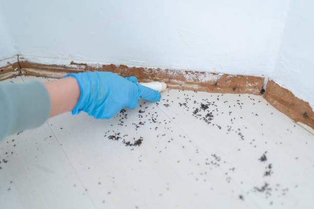 Best Wildlife Control Services  in Waterloo, NE