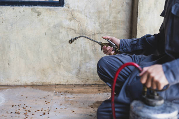 Best Wasp Removal Services  in Waterloo, NE